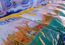 Pemprov Papua Barat Daya Perkuat Strategi Distribusi Logistik