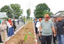 Pemkot Bengkulu Tanam 1.000 Pohon Kamboja