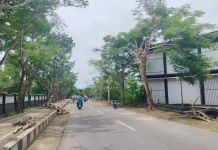 DLH Malra Pangkas Pohon Jalan Merdeka Demi Keamanan