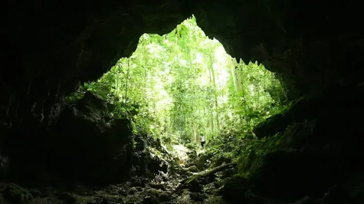 Experience Meja Mountain's Revitalized Beauty in 2026