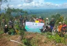 Jaga Resapan Air, 500 Pohon Ditanam di Kawasan Puncak Sriti