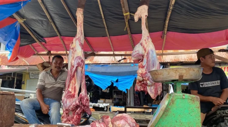 jelang Ramadan, Harga Komoditas Daging Mulai Merangkak di Aceh Barat