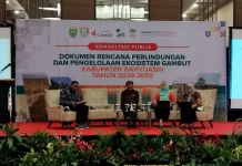 Banyuasin Rancang Strategi Kelola 563 Ribu Hektare Gambut