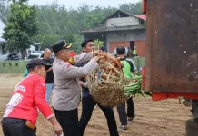 Kurve Bersih Pasar Negeri Baru, Wujud Komitmen Hidup Sehat