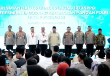 Presiden Anugerahkan Bintang Jasa untuk Penggerak MBG