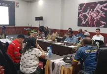 Akhir Februari, Batas Waktu Usulan Data Tambahan KLHS RTRW
