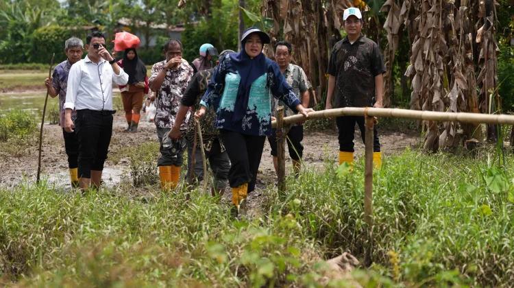 Pemkot Makassar Gelontorkan Rp 4 Miliar, Akses Romang Tangayya Dibeton