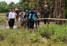Pemkot Makassar Gelontorkan Rp 4 Miliar, Akses Romang Tangayya Dibeton