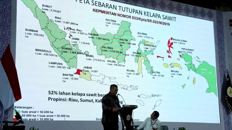 BPDP Tawarkan Solusi Tingkatkan Produktivitas Perkebunan Rakyat