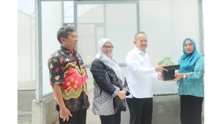 Kabupaten Kepulauan Seribu Distribusikan Bibit Cabai