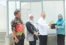 Kabupaten Kepulauan Seribu Distribusikan Bibit Cabai
