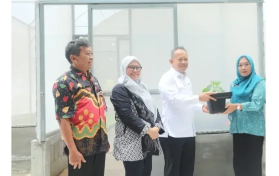 Kabupaten Kepulauan Seribu Distribusikan Bibit Cabai