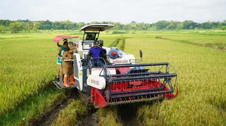 Modernisasi Pertanian Perkuat Gotong Royong Petani di Gunungkidul