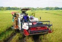 Modernisasi Pertanian Perkuat Gotong Royong Petani di Gunungkidul