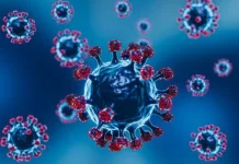 Waspada Virus Nipah di Sultra