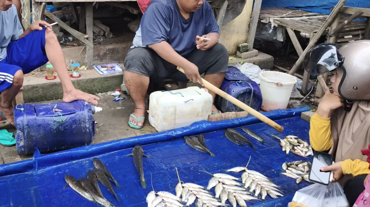 Berburu Ikan Gabus Kaya Manfaat di Pasar Lenteng