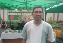 Cabe Mahal, Gapoktan : Pasar Induk Jadi Barometer