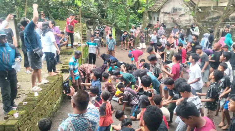 Sadranan Rebutan Koin di Wedi Klaten Berlangsung Meriah