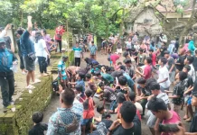 Sadranan Rebutan Koin di Wedi Klaten Berlangsung Meriah