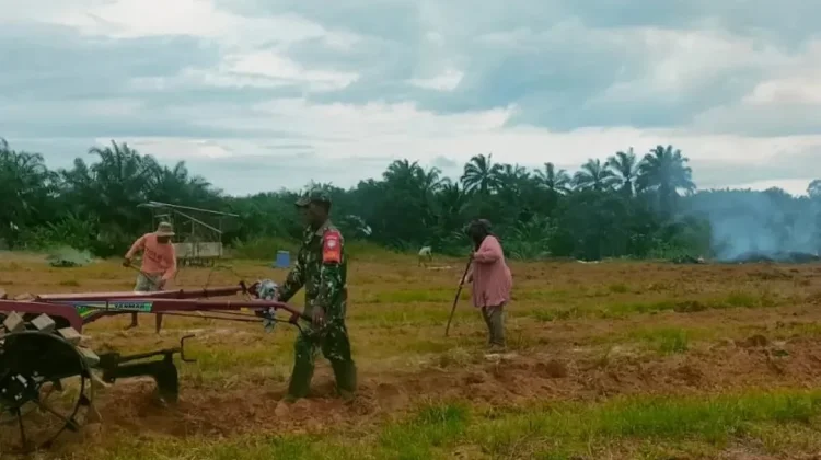 Petani di Subulussalam Kelola Lahan Semangka dengan TNI