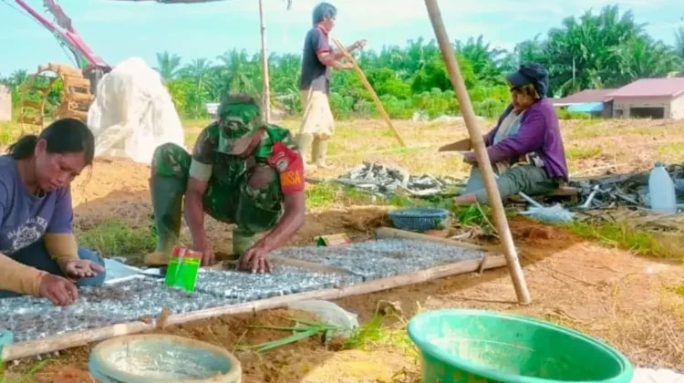 Sabariadi Olah Lahan Semangka Demi Dongkrak Ekonomi Keluarga