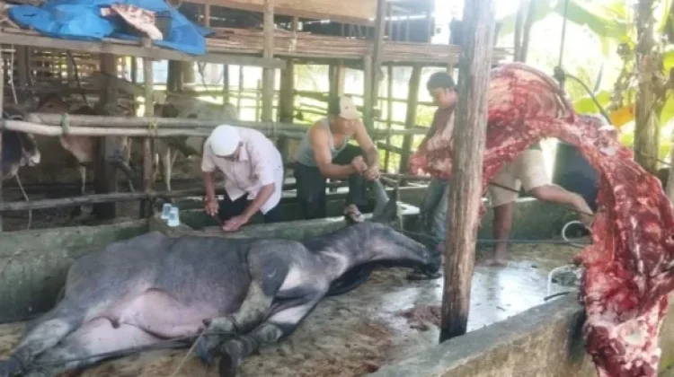Anggota Dewan Soroti Penerima Banpres Daging Meugang di Singkil