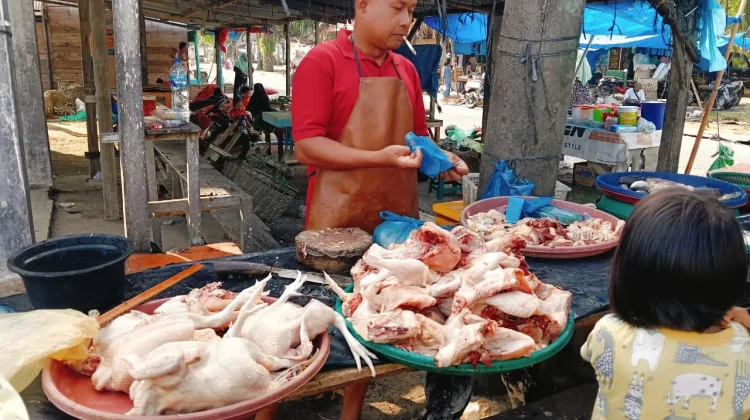 Harga Ayam Potong Meroket di Singkil