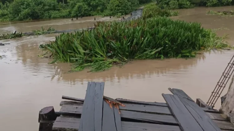 Akses Jembatan Masih Putus, Warga Singkil Terobos Sungai Angkut Hasil Pertanian