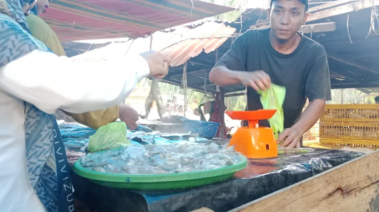 Harga Udang di Pasar Sianjo - Anjo Singkil Naik