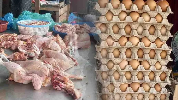 Harga Daging Ayam dan Telur di Subulussalam Meroket