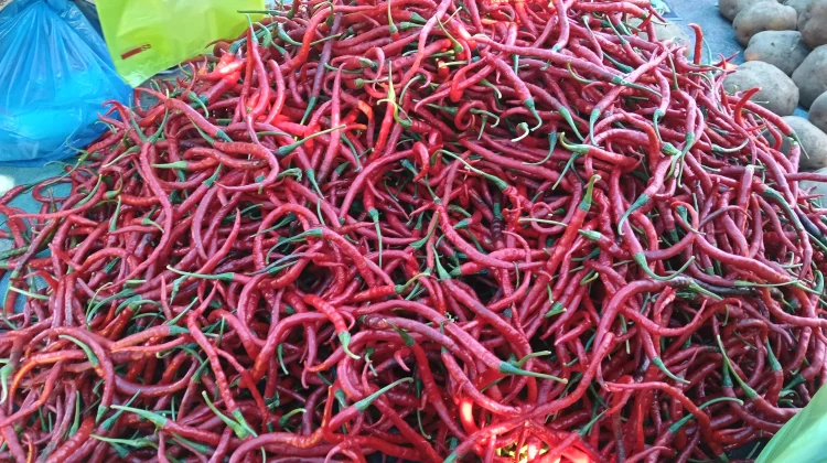 Segini harga Cabai Merah di Aceh Singkil