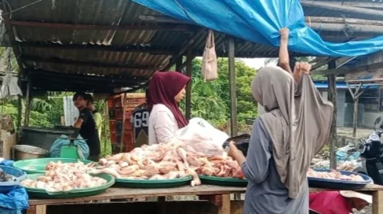 Harga Ayam di Aceh Singkil Rp50 ribu Perkilogram