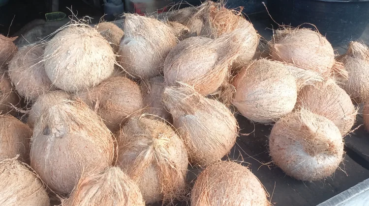 Harga Kelapa dan Santan di Subulussalam Stabil