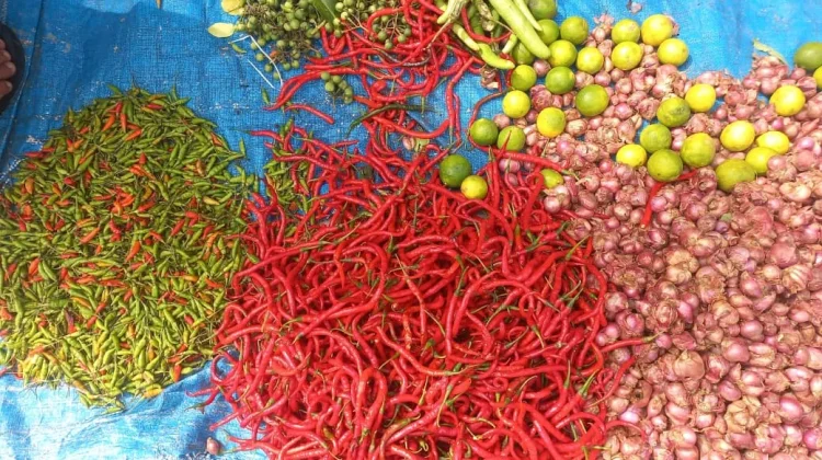 Stok Cabai di Subulussalam Melimpah, Harga Anjlok Rp15 Ribu Perkikogram