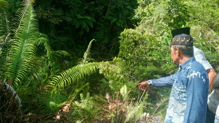 Sebuah Mobil Terjun ke Jurang Buluhdidi Pakpak Barat