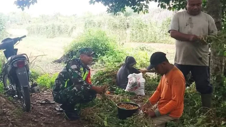 TNI Ikut Perkuat Ketahanan Pangan Desa di Singkil