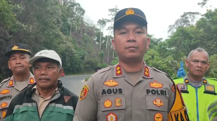 Terhalang Tebing, Operasi Pencarian Mobil Masuk Jurang Menggunakan Drone