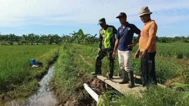 Cegah Sawah Kekeringan Prajurit TNI Susuri Jalur Irigasi IRPOM
