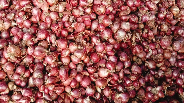 Segini Harga Bawang merah di Aceh Singkil