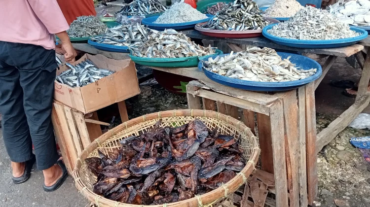 Segini Harga Ikan Lele Sale di Aceh Singkil