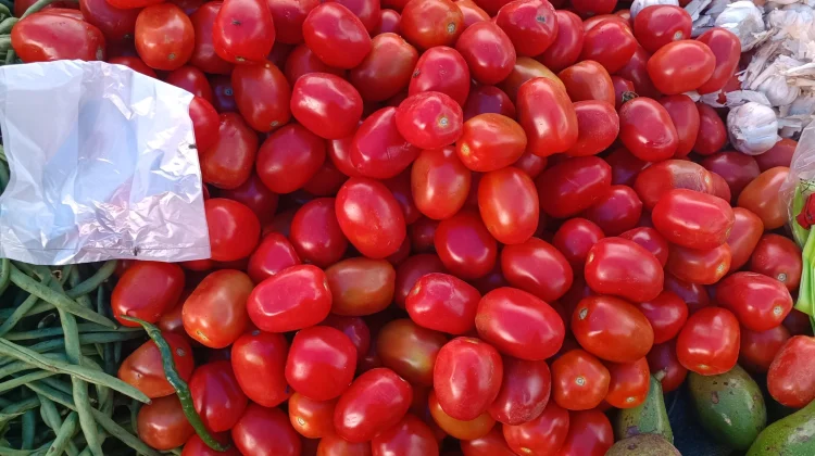 Harga Tomat di Aceh Singkil Kembali Melonjak