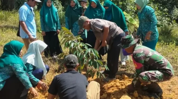 Babinsa dan PKK Longkib Subulussalam Sulap Lahan Kosong Jadi Kebun Durian