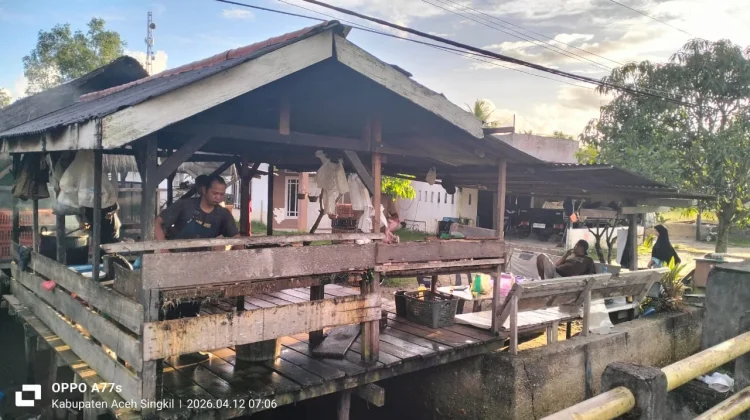 Pembeli Sepi Harga Ayam Potong diSingkil Merosot