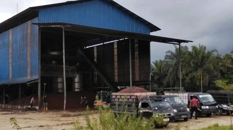 Harga Brondolan Sawit di Subulussalam Dibeli Rp4.250 Perkilogram