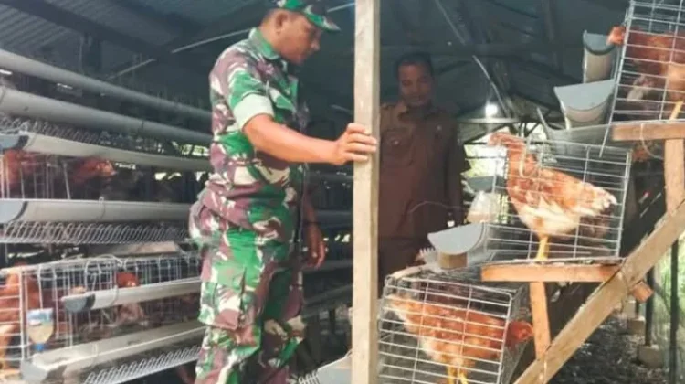 TNI dan Desa di Aceh Singkil Perkuat Ketahanan Pangan