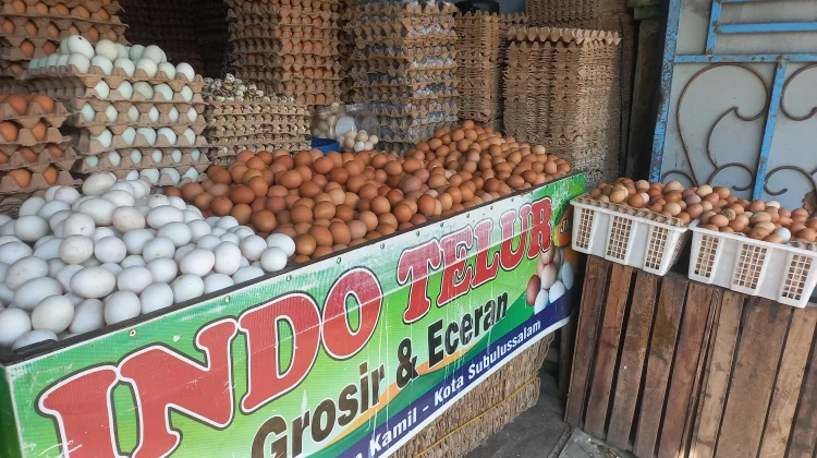 Harga Telur di Subulussalam Tembus Rp55 Ribu Perpapan, Daya Beli Masyarakat Lesu