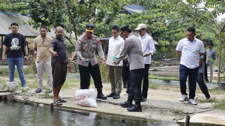 Perkuat Ketahanan Pangan, Kolam Binaan Polres Subulussalam Hasilkan 5 Ton Lele