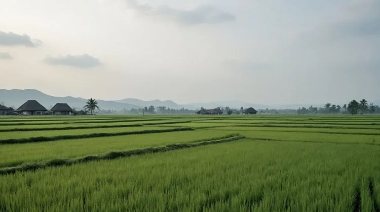 Aceh Masih Berpotensi Hujan Ringan hingga Sedang pada Sore dan Malam Hari