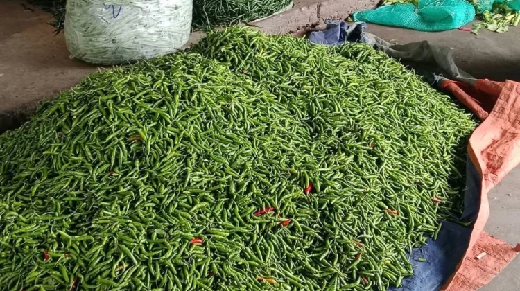 Update Harga Kebutuhan Pokok di Aceh Singkil