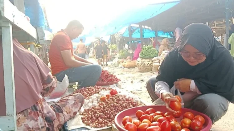 Harga Cabai Merah di Aceh Singkil Merangkak Naik jelang Idul Adha